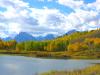 PICTURES/Grand Teton National Park/t_Tetons & Fall Colors.JPG